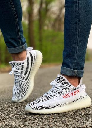 Кросівки adidas yeezy boost 350 v2 zebra  кроссовки