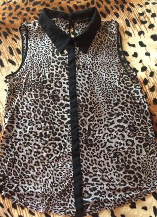 Рубашка блузка леопардовая летняя сеточка