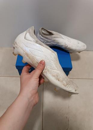 Бутси adidas copa pure+ fg (hq8891) оригінал