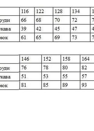 Термобілизна дитяча комплект columbia н3013 фліс чорний штани та кофта -20 °C комфорт -30 °C маленький4 фото