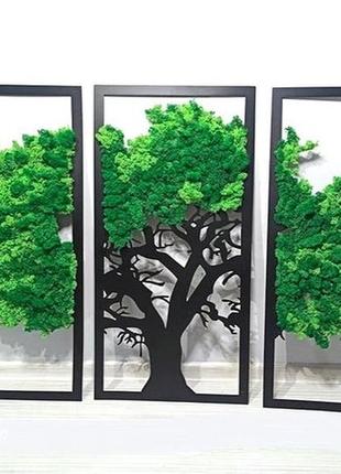 Дерево жизни стабилизированный мох ягель (три панно)