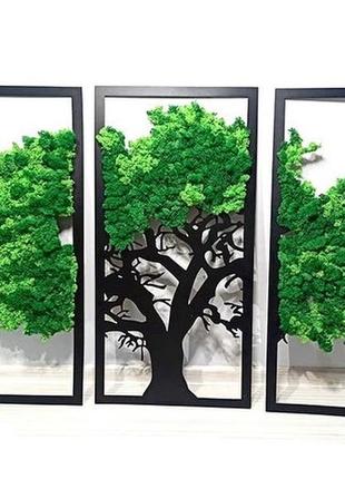 Дерево жизни стабилизированный мох ягель (три панно)