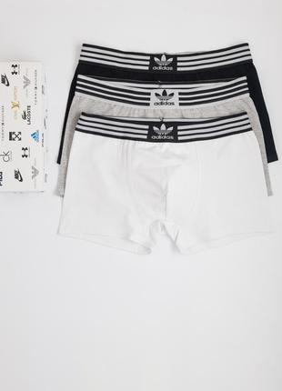 Набор мужских боксеров adidas