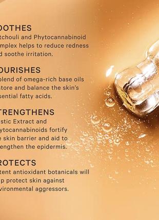 Масло для обличчя  reviving antioxidant facial oil 15 мл3 фото