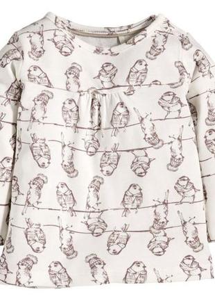 Реглан для новорожденной 50/56 см, германия