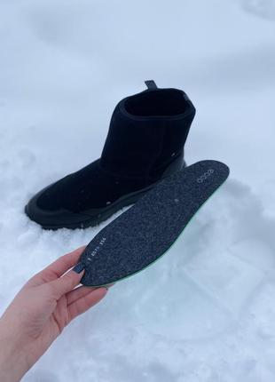 Зимние ботинки ecco chunky sneaker w 203203/510527 фото