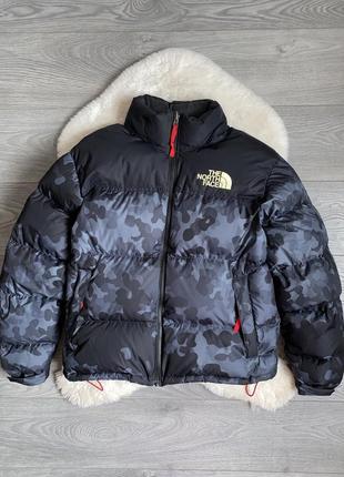 The north face мужской фирменный пуховик