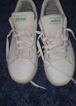 Кеди adidas