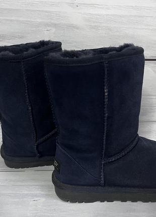 Зимние сапоги ugg темно синий цвет р.7