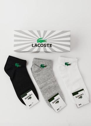 Носки lacoste