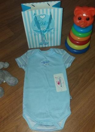 Бодік, пісочник