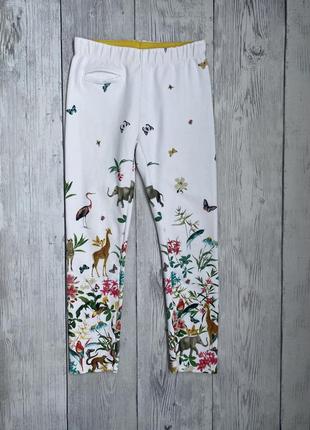 Штани, джинінгси zara на 8 років ( зріст 128 см)