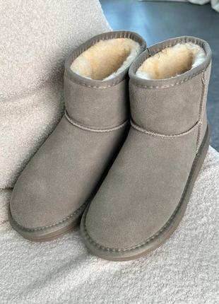 Уггі угги уги угі ugg beige3 фото