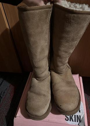 Угги, сапоги ugg