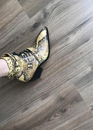 Трендовые казаки из питона.