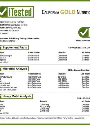 California gold nutrition бузина для детей сироп из черной бузины с эхинацеей 120 мл cgn-013694 фото