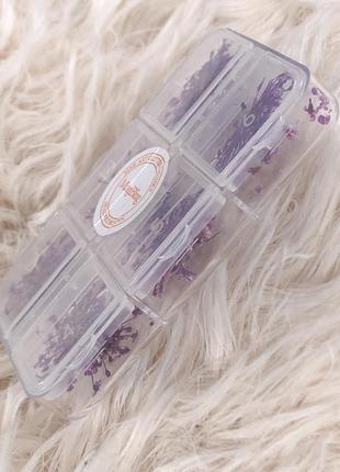 Сухоцветы для ногтей 12 пучков маленькие фиолетовые настоящие цветы цветочки в...