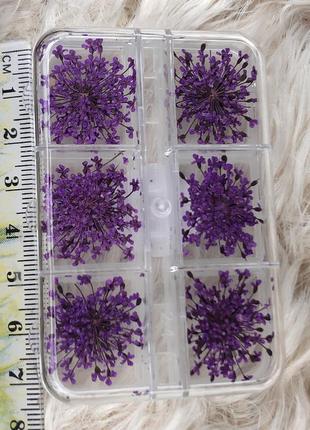 Сухоцветы для ногтей 12 пучков маленькие фиолетовые настоящие цветы цветочки в...