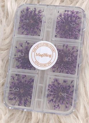 Сухоцвіти для нігтів 12 пучків маленькі фіолетові квіти квіточки в коробочці декор на нігті для дизайну манікюру рукоділля4 фото