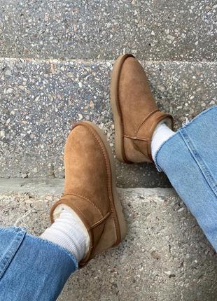 Уггі угги уги угі Bluzy ugg classic ultra mini chestnut