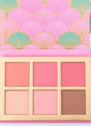 Палетка румян и хайлайтеров vivienne sabo haute couture plaisir blush and highlighter palette vpr4 фото