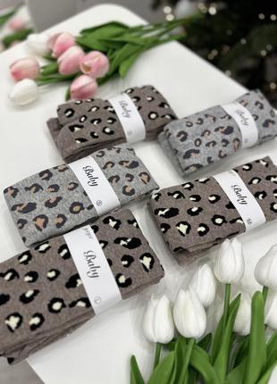 Колготи леопардовий принт