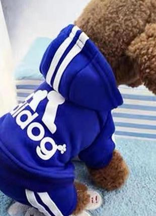 Синій спортивний костюм. одяг для собак