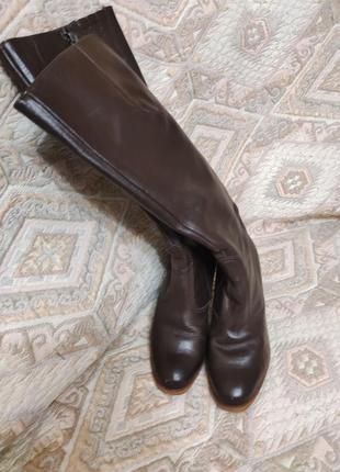 Чоботи жіночі