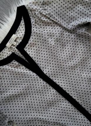 Кремова блуза в горошок -сорочка в горошок5 фото
