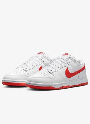 Кроссовки мужские nike nike dunk low retro dv0831-103 
оригинал