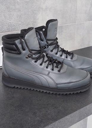 Puma desierto v2 3