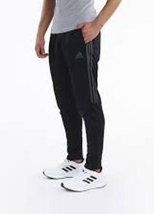 Спортивные штаны adidas m sereno pt h28914 xl black/gresix1 фото