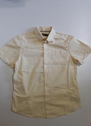 Фирменная хлопковая рубашка
