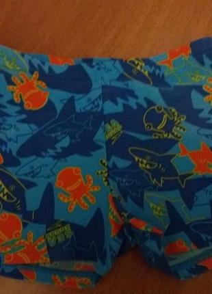 Красивые брендовые плавки - шорты speedo оригинал