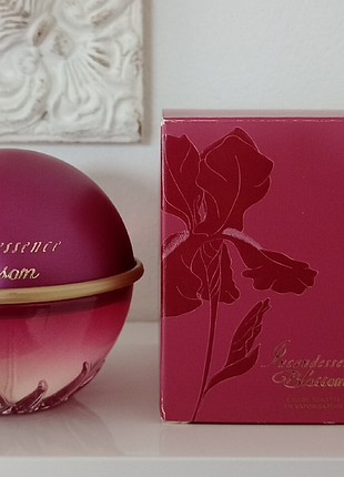 Rose magnetic essential parfums оригінал
