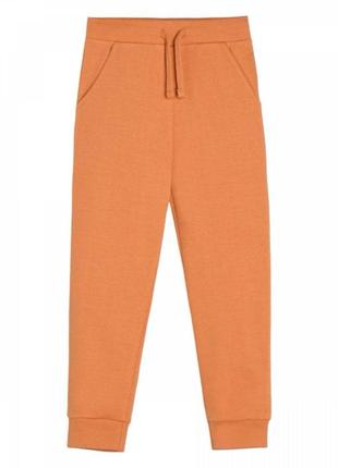 Детский спортивные штаны "colorful" оранжевые. размер 116