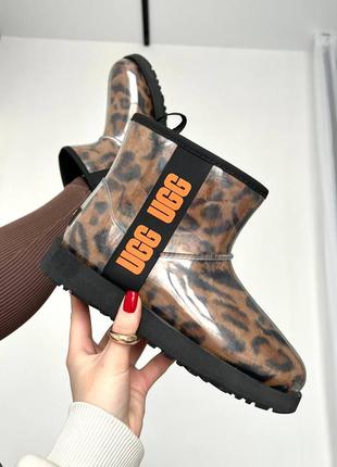 Угги ugg