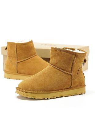 Зимние угги ugg mini ❄️
