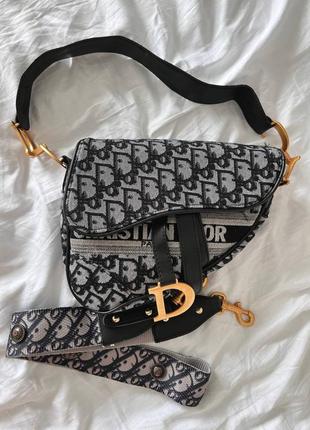 Christian dior saddle silver monogram