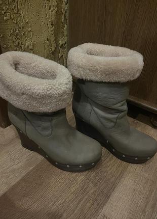 Ugg женские сапоги размер 40