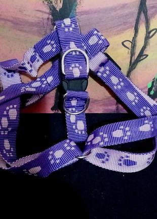 Фиолетовый ремень безопасности kingdom dog без натяжения для  маленькой собаки