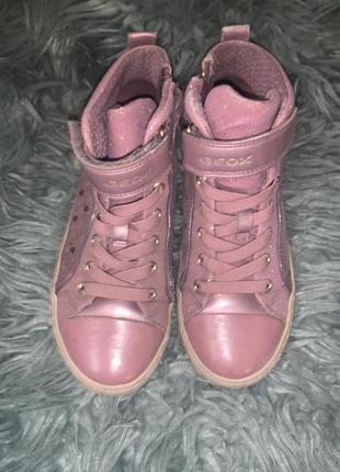 Детские ботинки хайтопы geox kalispera 34 р