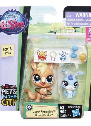 Игровой набор hasbro littlest pet shop - кенгуру vigor springley і кролик hoppity blue