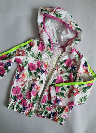 Ветровка y-clu