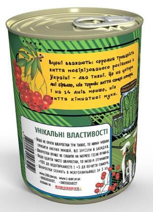 Консервовані шкарпетки відважного військового - подарунок на день зсу3 фото