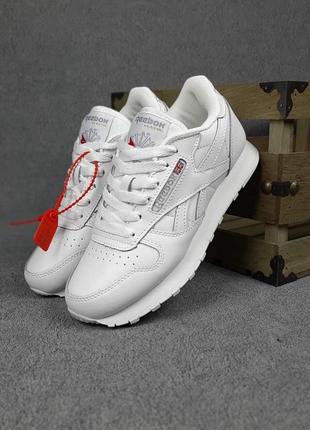 Жіночі кросівки | reebok classic | білі | шкіра, :36
