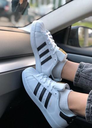 Кросівки team adidas superstar кроссовки