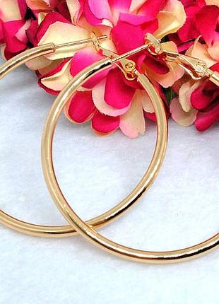 Серьги кольцами из медицинского золота
