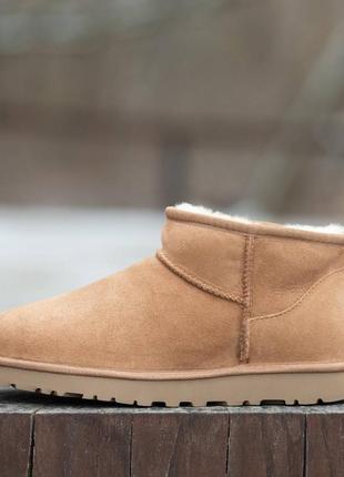 Ugg ultra mini chestnut suede угги уггі