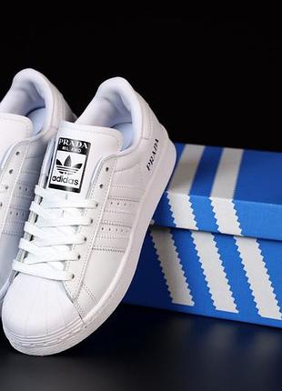 Кроссовки женские   adidas superstar prada